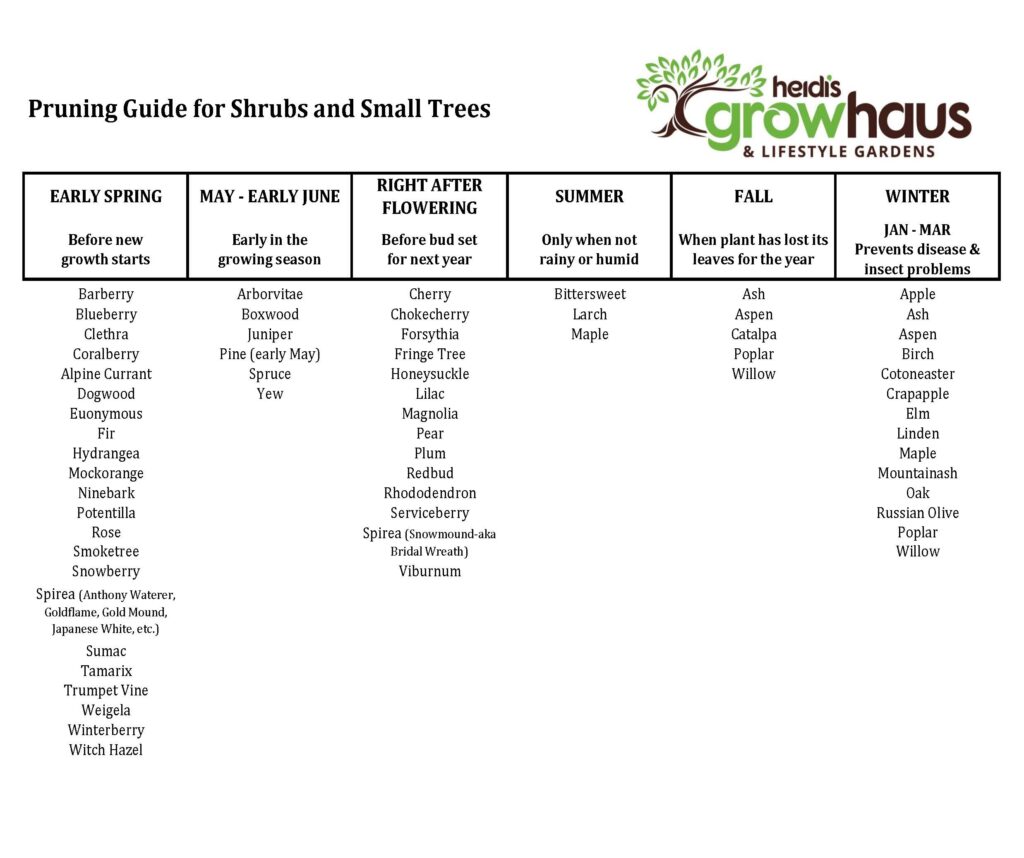 Tree and Shrub Pruning Guide   Heidi's GrowHaus & Lifestyle Gardens