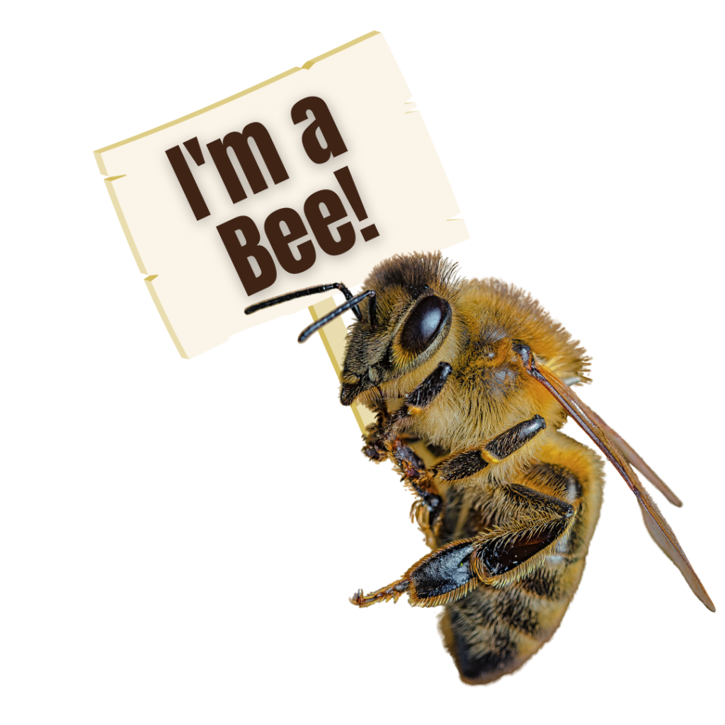 I'm a Bee